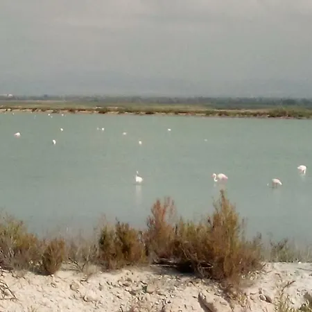 Daria شقة لا ماتا