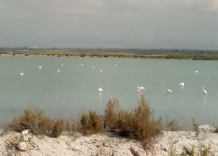 Daria Appartement La Mata (Torrevieja)